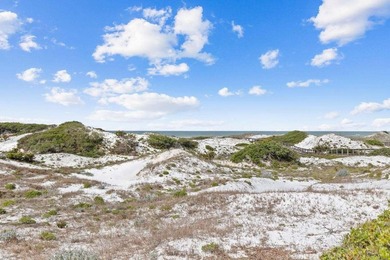 Located in the highly sought-after gated community of Watersound - photo 44
