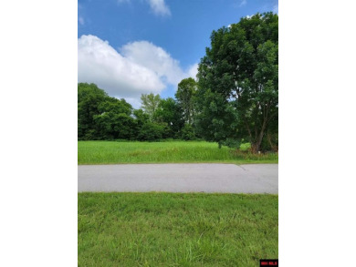 BEAUTIFUL LOTS WITH WHITE RIVER FRONTAGE, private boat ramp - Lake Lot For Sale in Norfork, Arkansas