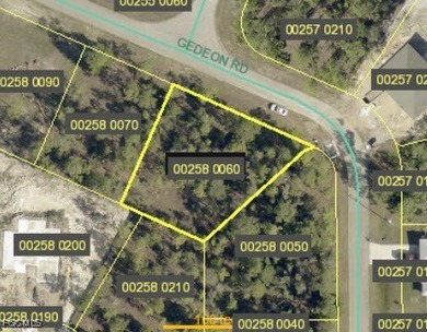 Lehigh Acres Area Lot For Sale in Lehigh Acres Florida
