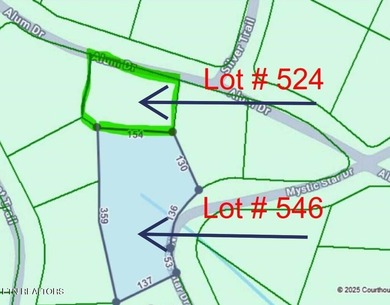 Lake Lot For Sale in New Tazewell, Tennessee