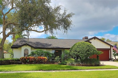 (private lake, pond, creek) Home Sale Pending in Tampa Florida