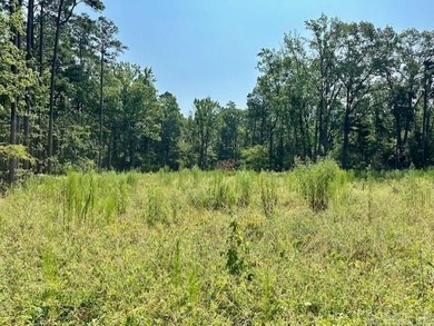 (private lake, pond, creek) Acreage For Sale in Pine Bluff Arkansas