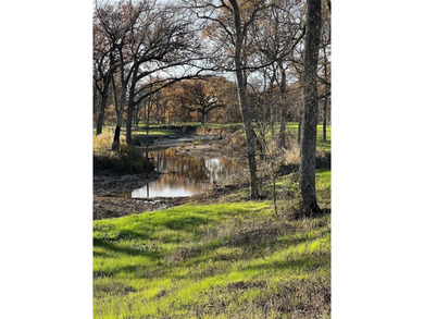 Lake Ray Roberts Acreage For Sale in Gainesville Texas