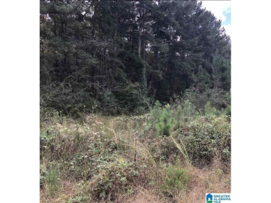 Logan Martin Lake Lot For Sale in Lincoln Alabama