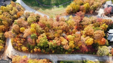 Lake Lot For Sale in Clayton, Georgia