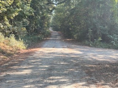 Lake Lot For Sale in West Point, Georgia
