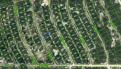 Lake Grassy Lot For Sale in Lake Placid Florida