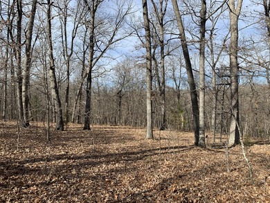 Here is a good laying 40 acre tract in Camden County not far - photo 11
