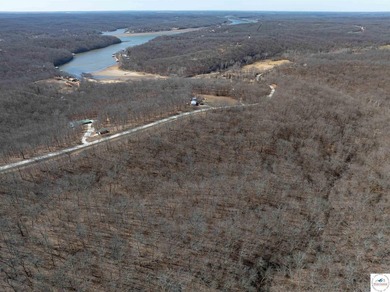 If you're looking for a wooded lot to build your dream home - or - photo 16