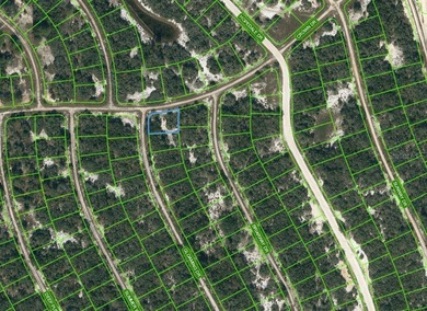 Lake Grassy Lot For Sale in Lake Placid Florida