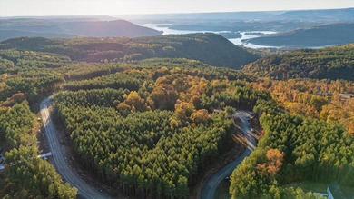 (private lake, pond, creek) Lot For Sale in Guild Tennessee