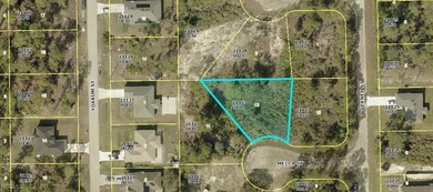 Lehigh Acres Area Lot For Sale in Lehigh Acres Florida