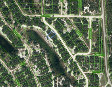 Lake Grassy Lot For Sale in Lake Placid Florida