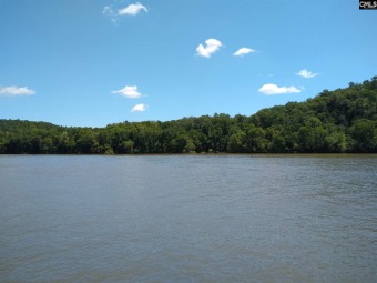 Get back to nature:  Debutary Pointe - 1.72 acres - Lake Lot For Sale in Great Falls, South Carolina