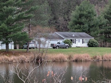 Lake Home For Sale in Austin, Pennsylvania