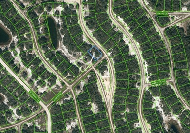 Lake Grassy Lot For Sale in Lake Placid Florida