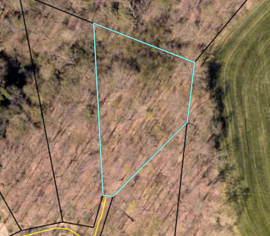 Lake Lot For Sale in Russell Springs, Kentucky