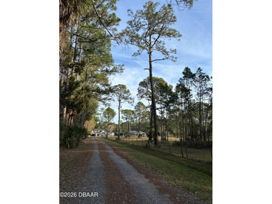 (private lake, pond, coastal) Home For Sale in Port Orange Florida