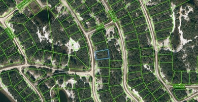 Lake Grassy Lot For Sale in Lake Placid Florida
