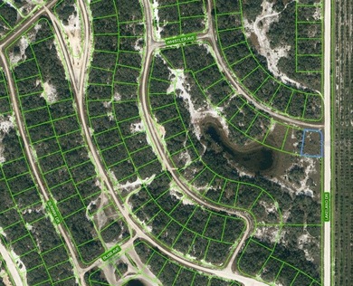 Lake Grassy Lot For Sale in Lake Placid Florida