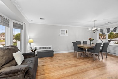Welcome To This Beautifully Maintained Split Level In Massapequa - photo 9