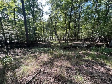 Lake Lot For Sale in Marthasville, Missouri