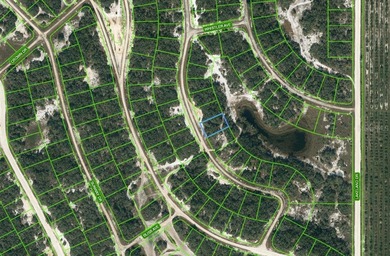 Lake Grassy Lot For Sale in Lake Placid Florida