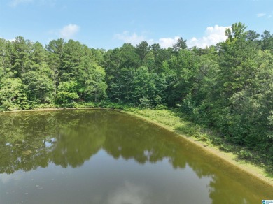3 acres with access to a small lake near Lake Logan Martin. This - photo 11