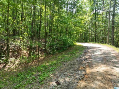 3 acres with access to a small lake near Lake Logan Martin. This - photo 12