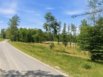 Large waterfront lot on Lake Halford, 3+ acres, with no HOA or - photo 18