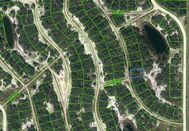 Lake Grassy Lot For Sale in Lake Placid Florida