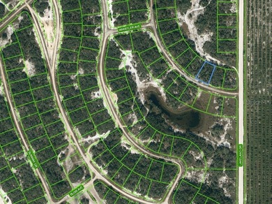 Lake Grassy Lot For Sale in Lake Placid Florida