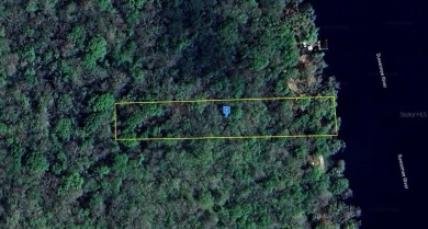 Suwannee River - Gilchrest County Lot For Sale in Bell Florida