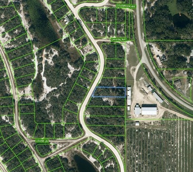Lake Grassy Lot For Sale in Lake Placid Florida