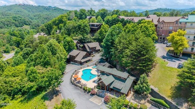 WESOME CABIN IN THE HEART OF PIGEON FORGE THAT PUTS YOU RIGHT IN - photo 42