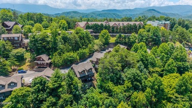 WESOME CABIN IN THE HEART OF PIGEON FORGE THAT PUTS YOU RIGHT IN - photo 44