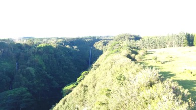 (private lake, pond, coastal) Acreage For Sale in Hakalau Hawaii