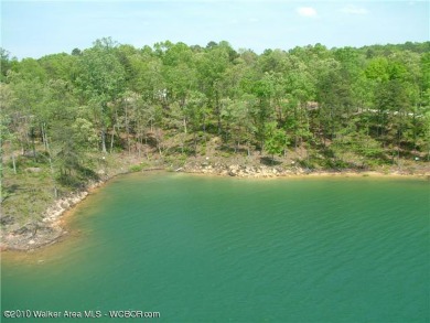 Lake Lot For Sale in Arley, Alabama