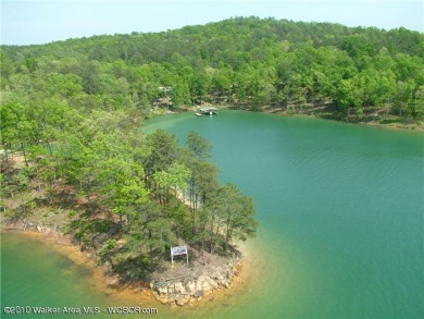 Beautiful lot ready to build on year round water with - Lake Lot For Sale in Arley, Alabama