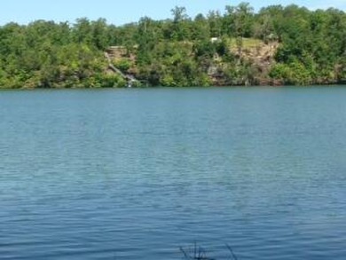 Beautiful lot ready to build on year round water with - Lake Lot For Sale in Arley, Alabama