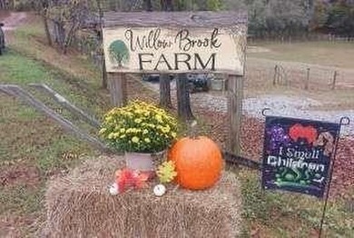 ESCAPE TO YOUR NORTH GEORGIA PARADISE! Calling all horse lovers