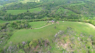 168.62acres in the Ozark Mountains featuring a beautiful mix of - photo 1