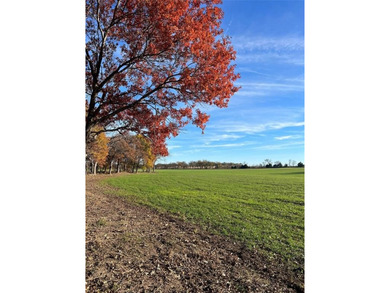 Lake Acreage For Sale in Gainesville, Texas