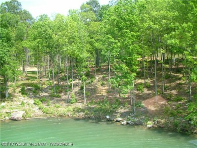 Beautiful lot ready to build on year round water with - Lake Lot For Sale in Arley, Alabama