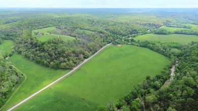168.62acres in the Ozark Mountains featuring a beautiful mix of - photo 2