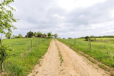 168.62acres in the Ozark Mountains featuring a beautiful mix of - photo 5