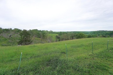 168.62acres in the Ozark Mountains featuring a beautiful mix of - photo 6