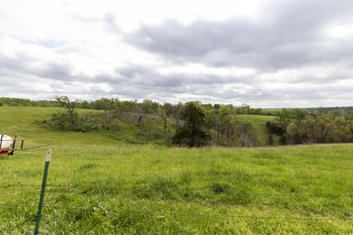 168.62acres in the Ozark Mountains featuring a beautiful mix of - photo 9