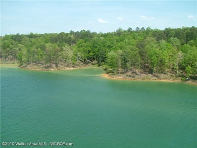 Lake Lot For Sale in Arley, Alabama