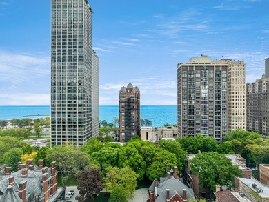 One of Chicago's finest cooperative residences, this - photo 7